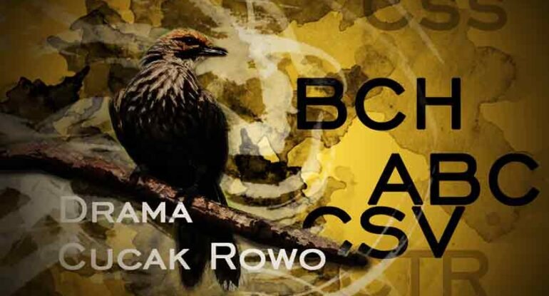 drama-cucak-rowo Drama Cucak Rowo